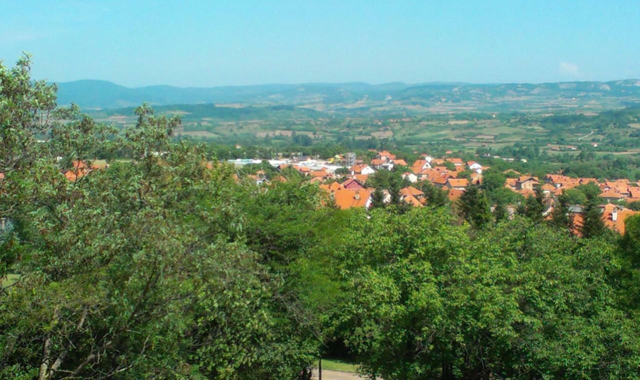 Vila Akademik A1 Soko Banja Εξωτερικό φωτογραφία