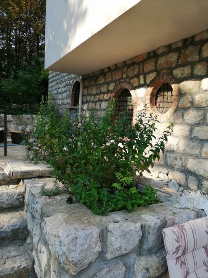 Vila Akademik A1 Soko Banja Εξωτερικό φωτογραφία